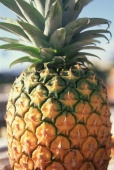 Ananas je zdrojem enzymu bromelainu